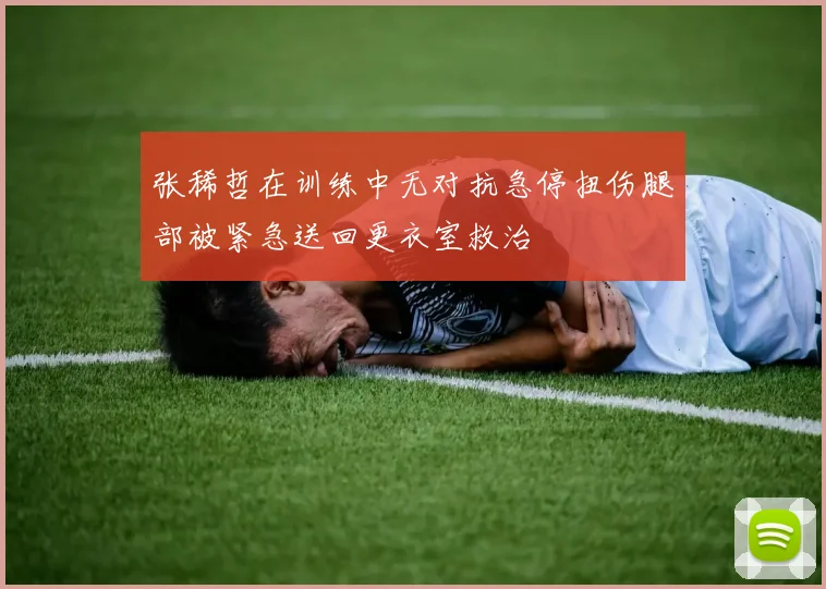 张稀哲在训练中无对抗急停扭伤腿部被紧急送回更衣室救治
